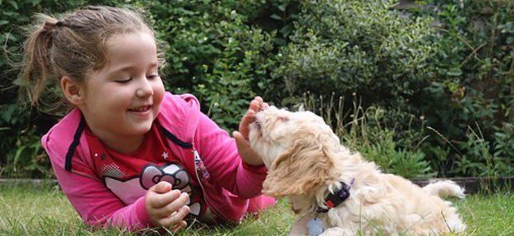 Bambini e animali: i benefici per lo sviluppo psicofisico - Ludoville