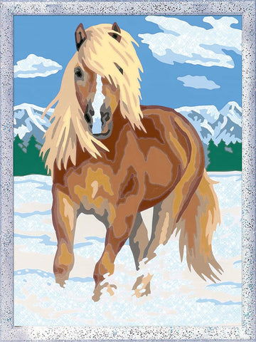 CREART D CAVALLO