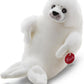 TRUDI FOCA TG.M