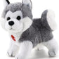 TRUDI SW COL HUSKY