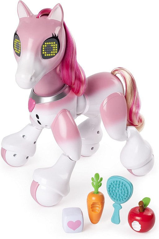 ZOOMER PONY