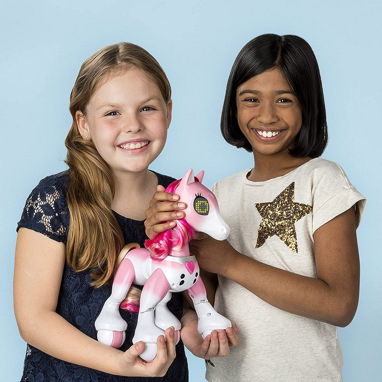 ZOOMER PONY