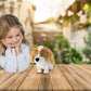 CAGNOLINA LOLA CLUB PETZ INTERAT S