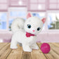 BIANCA LA GATTINA CLUB PETZ INT.