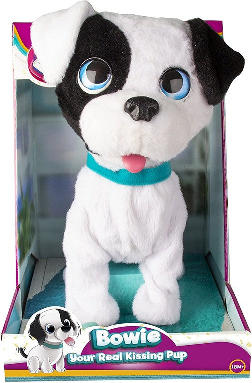 BOWIE PETZ CAGNOLINO