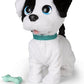 BOWIE PETZ CAGNOLINO