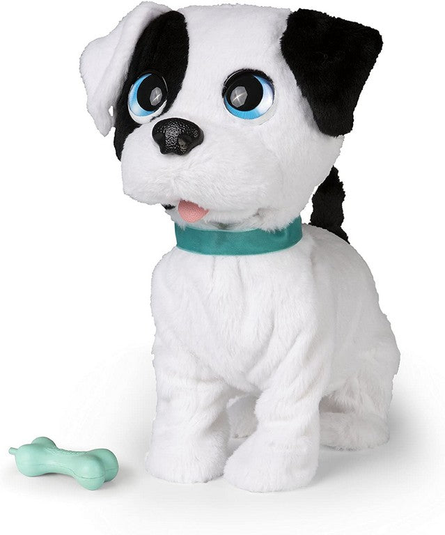 BOWIE PETZ CAGNOLINO
