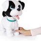 BOWIE PETZ CAGNOLINO