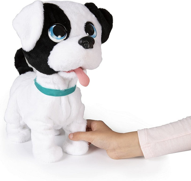 BOWIE PETZ CAGNOLINO