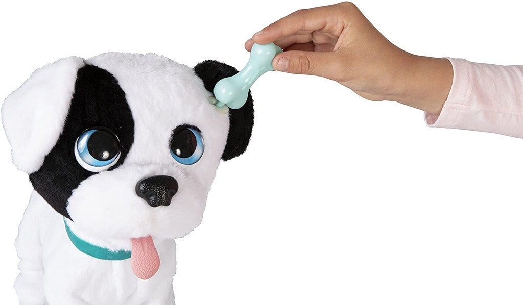 BOWIE PETZ CAGNOLINO