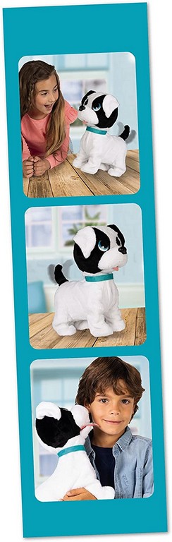 BOWIE PETZ CAGNOLINO