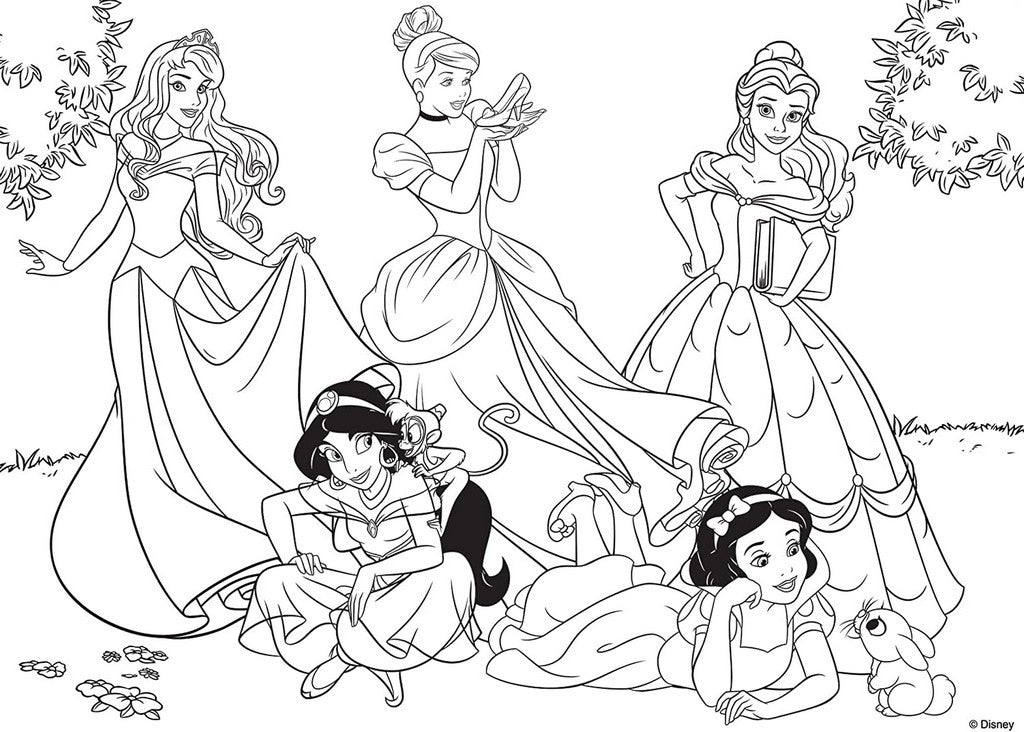 PUZZLE DF SUPERMAXI 108 PRINCIPESSE