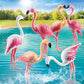 FENICOTTERI ROSA PY 70351