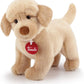TRUDI LABRADOR LIAM 87 22872