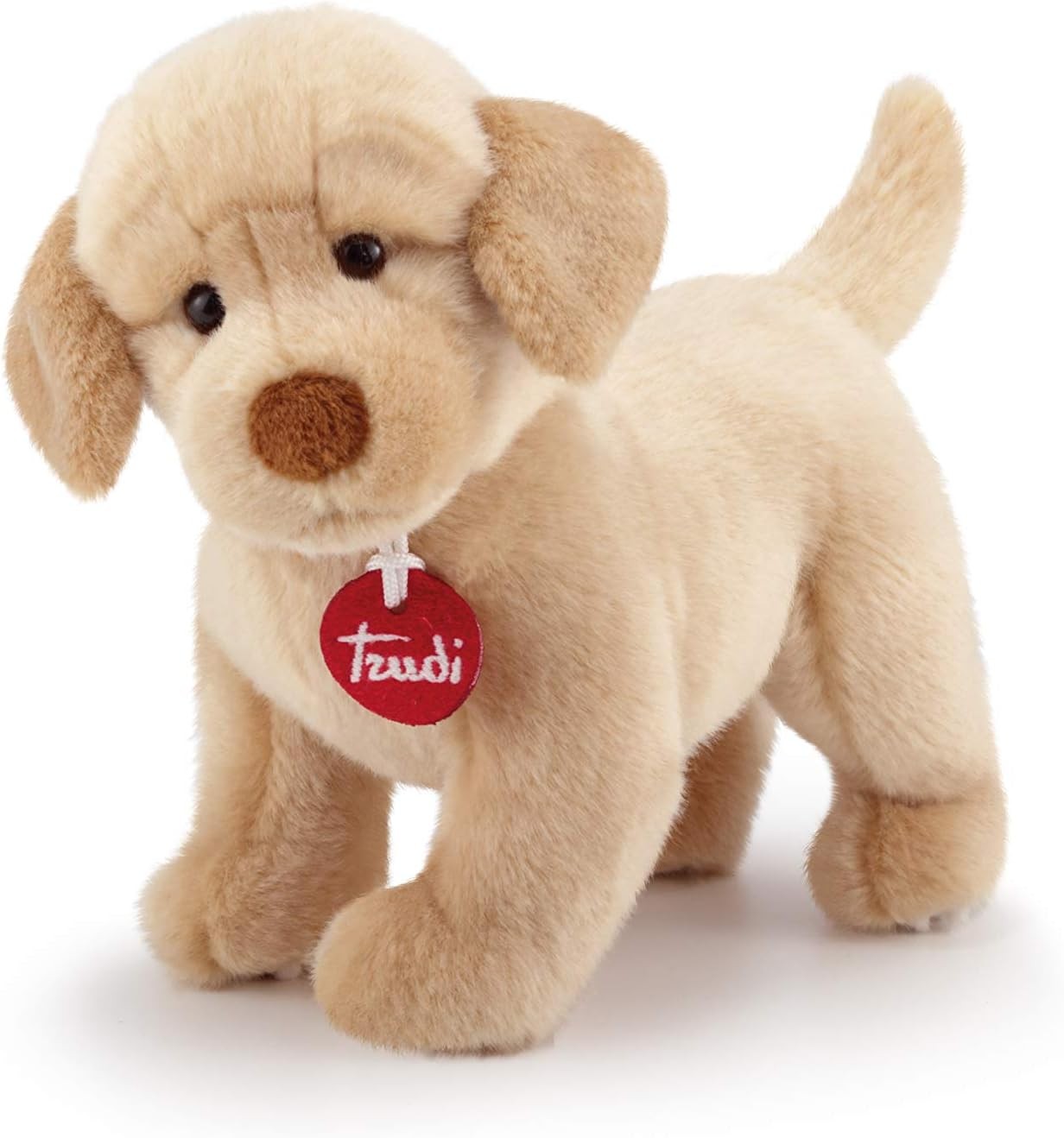 TRUDI LABRADOR LIAM 87 22872