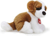 TRUDI SAN BERNARDO BOB.22325