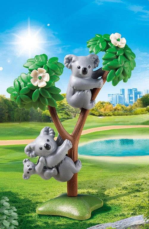 FAMIGLIA DI KOALA PY 70352