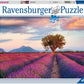 PUZZLE 1000 CAMPI DI LAVANDA