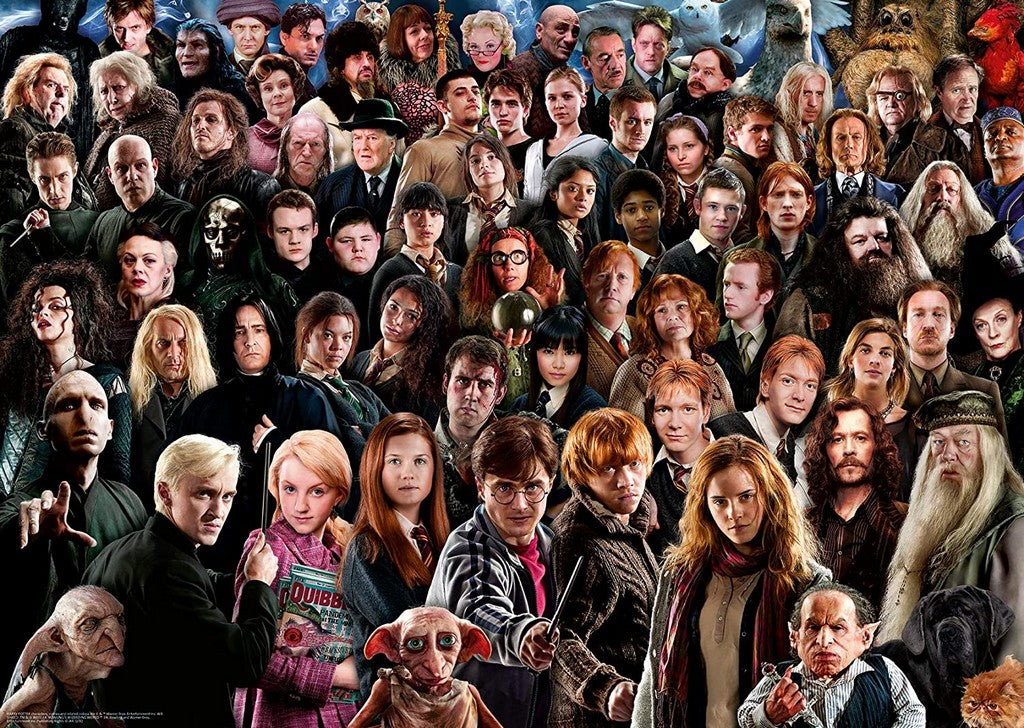 PUZZLE 1000 HARRY POTTER