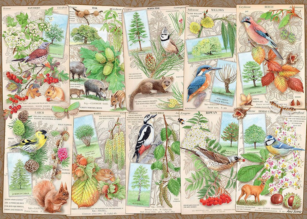 PUZZLE 1000 ALBERI MERAVIGLIOSI
