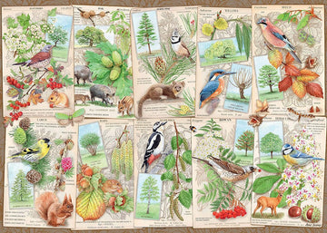 PUZZLE 1000 ALBERI MERAVIGLIOSI