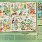 PUZZLE 1000 ALBERI MERAVIGLIOSI