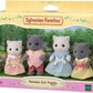 FAMIGLIA GATTO PERSIANO SYLVANIAN F