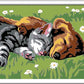 CREART E CANE E GATTO