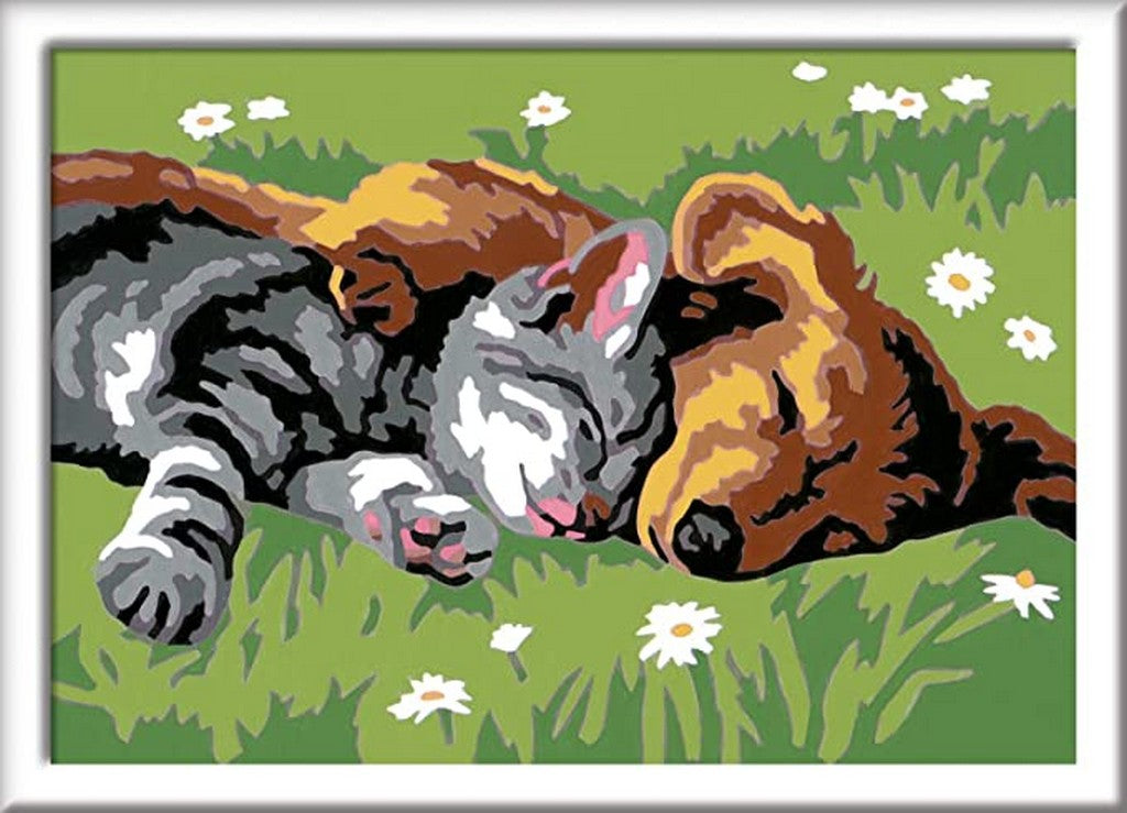 CREART E CANE E GATTO
