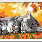 CREART E GATTINI IN AUTUNNO
