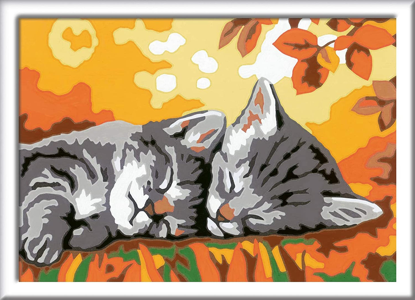 CREART E GATTINI IN AUTUNNO