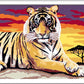 CREART D TIGRE