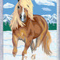 CREART D CAVALLO