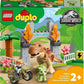 FUGA T.REX E TRICERATOPO DUPL 10939