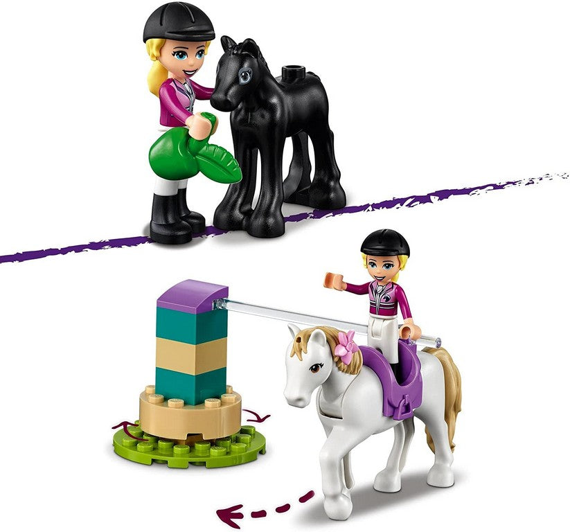 ADDESTRAMENTO EQUESTRE E RIMORCHIO