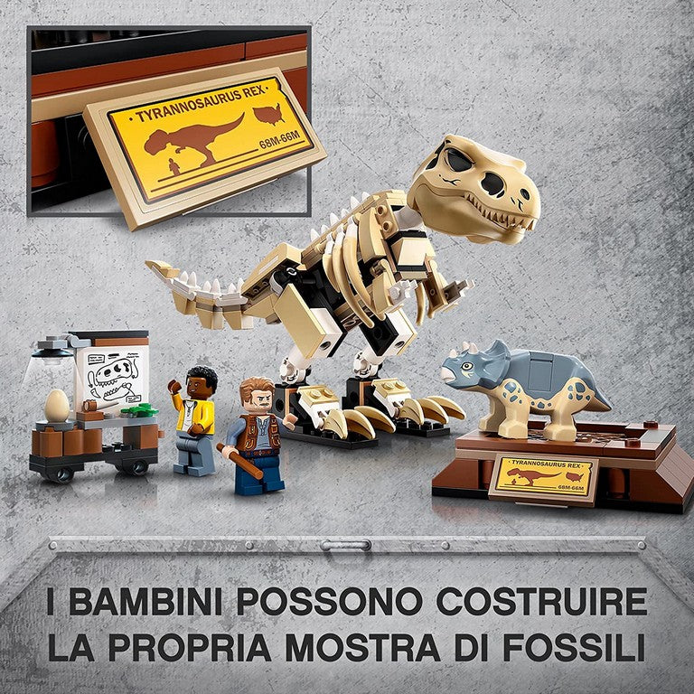 LA MOSTRA DEL FOSSILE DI DINO.76940