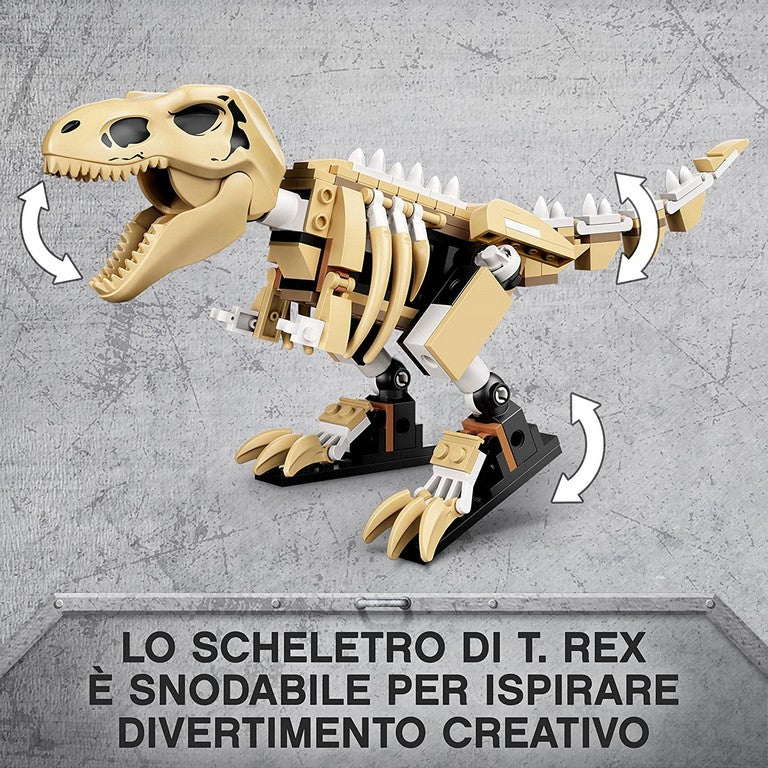 LA MOSTRA DEL FOSSILE DI DINO.76940
