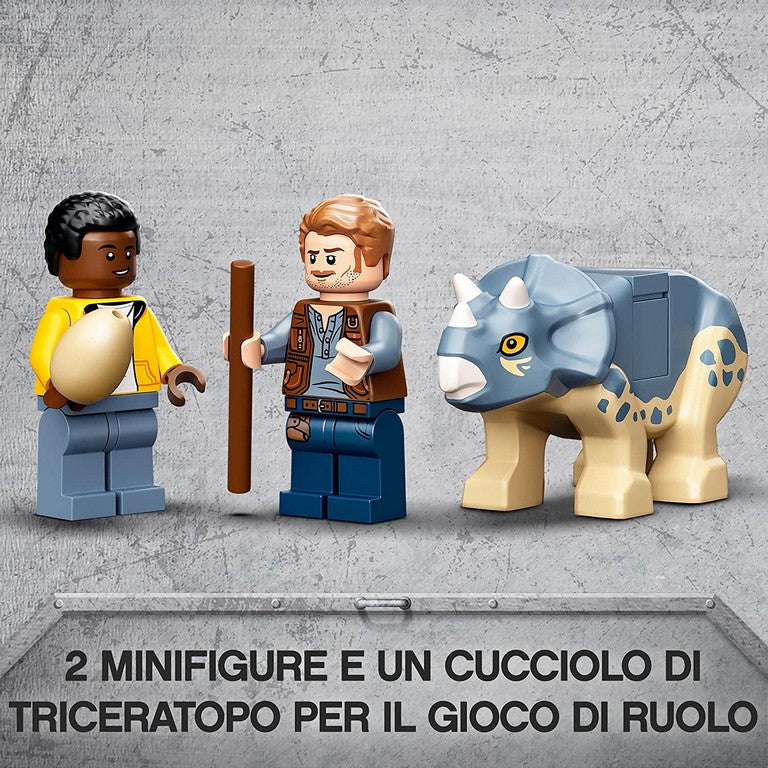 LA MOSTRA DEL FOSSILE DI DINO.76940