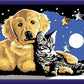 CREART E CIELO STELLATO