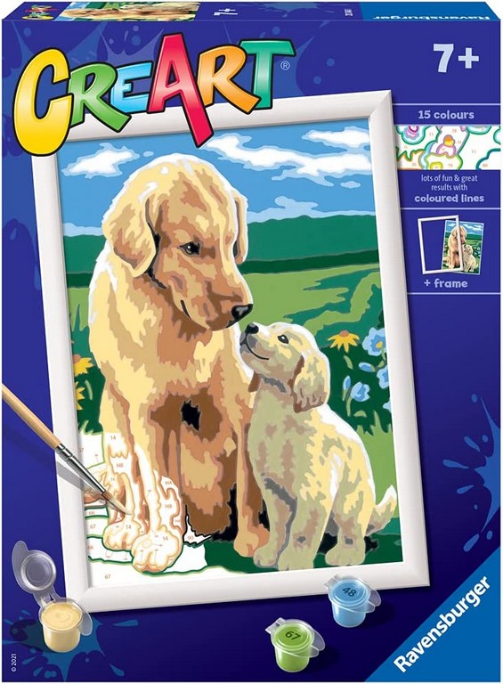 CREART D RETRIEVER SUL PRATO