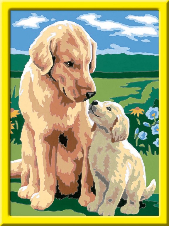 CREART D RETRIEVER SUL PRATO