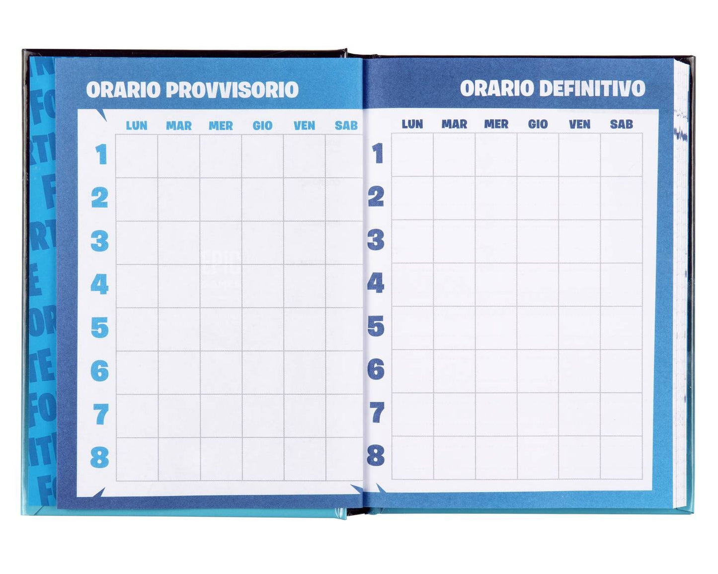 DIARIO 12 MESI STANDARD FORTNITE