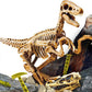 I'M A GENIUS SUPERKIT VELOCIRAPTOR