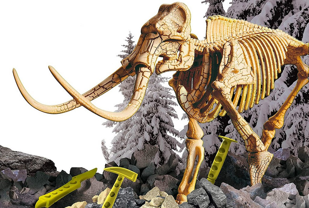 I'M A GENIUS SUPERKIT MAMMUT
