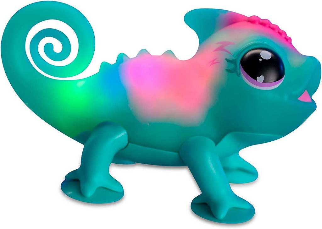 LLP CALM A CHAMELEON
