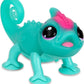 LLP CALM A CHAMELEON