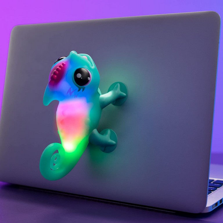 LLP CALM A CHAMELEON