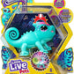 LLP CALM A CHAMELEON