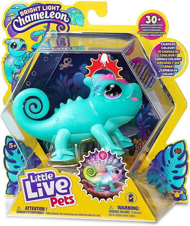 LLP CALM A CHAMELEON