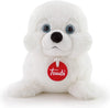 PUPPY FOCA 000